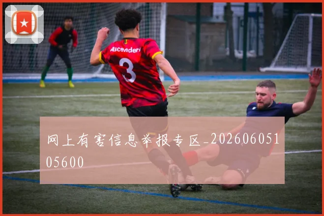 网上有害信息举报专区_20260605105600