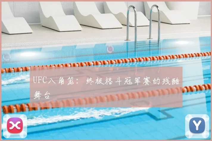 UFC八角笼:终极格斗冠军赛的残酷舞台