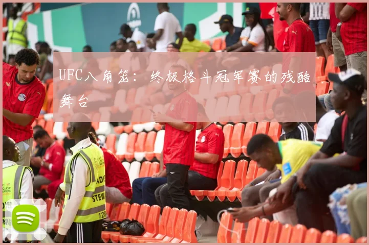 UFC八角笼:终极格斗冠军赛的残酷舞台
