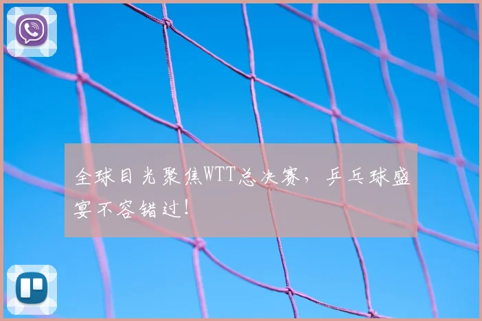 全球目光聚焦WTT总决赛,乒乓球盛宴不容错过!