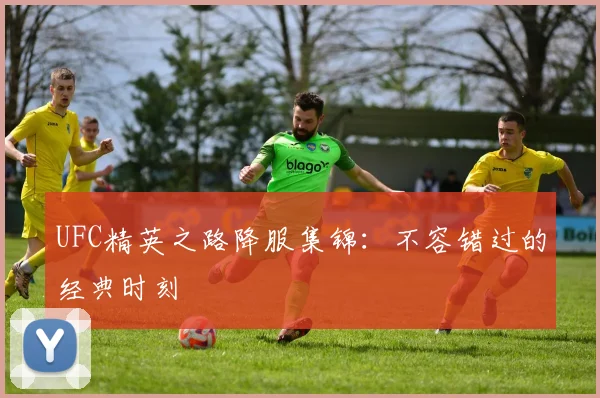 UFC精英之路降服集锦：不容错过的经典时刻