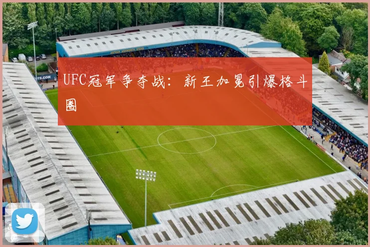 UFC冠军争夺战：新王加冕引爆格斗圈