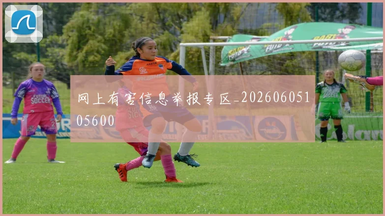 网上有害信息举报专区_20260605105600